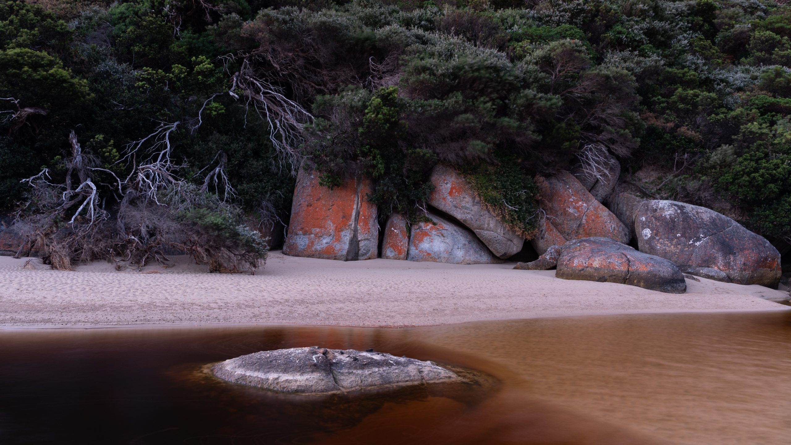 Granite boulders in tidal creek, Wilsons Promontory