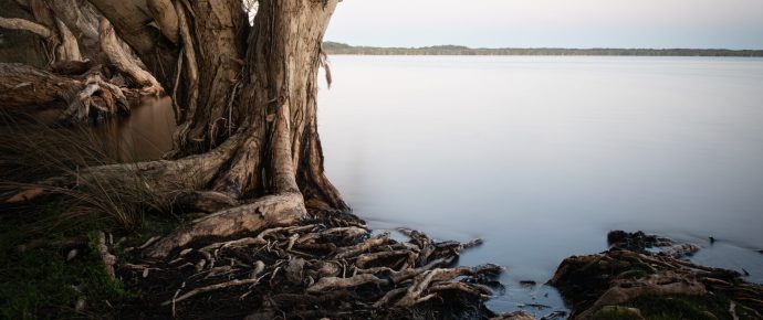 A Rope, a Tree, a Mirror of Sky – Myall Lakes at Dawn in Landscape Photography